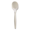 Mediumweight Wrapped Polypropylene Cutlery, Soup Spoon, 4.86", Plastic, White, 1,000/Carton