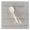 Mediumweight Wrapped Polypropylene Cutlery, Soup Spoon, 4.86", Plastic, White, 1,000/Carton