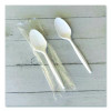 Heavyweight Wrapped Polystyrene Cutlery, Spoon, Plastic, White, 1,000/Carton