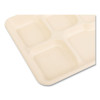 Bagasse Pfas-Free Food Tray, 5 Compartments, 8.26 x 0.98 x 10.9, Tan, Sugarcane, 500/Carton