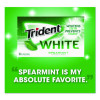 Sugar-Free Gum, White Spearmint, 16 Sticks/Pack, 9 Packs/Box