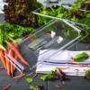 Storplus Polycarbonate Handled Universal Lid, 7 x 12.5 x 0.88, Clear, Plastic