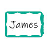 Self-Adhesive Name Badges, 3.5 X 2.25, Green, 100/Box