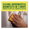 Multi-Surface Cleaner Disinfectant Concentrated, Pine Scent, 20 Oz Bottle, 8/Carton