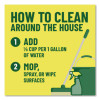 Multi-Surface Cleaner Disinfectant Concentrated, Pine Scent, 20 Oz Bottle, 8/Carton