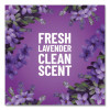 Multi-Surface Cleaner Concentrated, Lavender Clean Scent, 24 Oz Bottle, 12/Carton