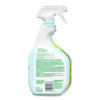 Clorox Pro Ecoclean Glass Cleaner, 32 Oz Spray Bottle, 9/Carton