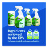 Clorox Pro Ecoclean Glass Cleaner, 32 Oz Spray Bottle, 9/Carton