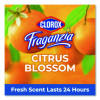 Cloroxpro Fraganzia Multi-Purpose Cleaner, Citrus Blossom Scent, 175 Oz Bottle, 3/Carton