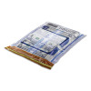Triplok Series A Tamper-Evident Bags, Plastic, 9" x 12", Clear, 100/Pack