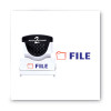 Pre-Inked Shutter Stamp, Red/Blue, File, 1.63 x 0.5