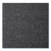 Ecostep Wiper Mat, Rectangular, Charcoal Gray Cut Pile Surface, 48" x 96"