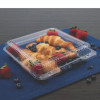 Staylock Clear Hinged Lid Containers, 8.6 x 9 x 3, Clear, Plastic, 100/Pack, 2 Packs/Carton