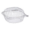 Clearseal Hinged-Lid Plastic Containers, 5.86 x 3.11, Clear, Plastic, 500/Carton