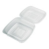 Renewable And Compostable Clear Clamshell Hinged Food Containers, 8 x 8 x 3, Plastic, 80/Pack, 2 Packs/Carton