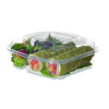 Renewable And Compostable Clear Clamshell Hinged Food Containers, 3 Compartments, 8 x 8 x 3, Plastic, 80/Pack, 2 Packs/Carton