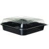 100% Recycled Content 9" Premium Take Out Containers, 42 Oz, 9 x 8.8 x 1.6, Black/Clear, Plastic, 50/Pack, 3 Packs/Carton