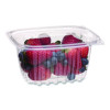 Renewable And Compostable Rectangular Deli Containers With Lid, 16 Oz, 3 x 4 x 3, Clear, Plastic, 100/Pack, 3 Packs/Carton