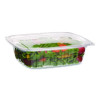 Renewable And Compostable Rectangular Deli Containers With Lid, 24 Oz, 4 x 5.5 x 2, Clear, Plastic, 50/Pack, 4 Packs/Carton
