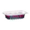 Renewable And Compostable Rectangular Deli Containers With Lid, 8 Oz, 3 x 4.83 x 1.5, Clear, Plastic, 50/Pack, 4 Packs/Carton