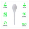 Plantware Compostable Cutlery, Spoon, Plastic, White, 1,000/Carton