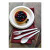Plantware Compostable Cutlery, Spoon, Plastic, White, 1,000/Carton