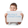 Two-Sided Red/Blue Ruled Dry Erase Board, 12" x 9", White Surface, 24/Pack