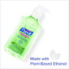 Advanced Hand Sanitizer Soothing Gel, 12 Oz Pump Bottle, Fresh Scent
