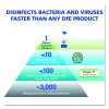 Foodservice Surface Sanitizer, Fragrance-Free, 1 Gal Bottle