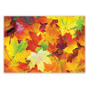 Placemats, Three Autumn Days Photo Designs, Smooth Surface, Straight Edges, 14" x 10", Multicolor, 1,000/Carton
