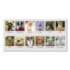 Earthscapes Recycled Desk Tent Monthly Calendar, Puppies Photography, 8.5 x 4.5, White Sheets, 12-Month (Jan To Dec): 2026