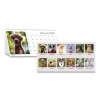Earthscapes Recycled Desk Tent Monthly Calendar, Puppies Photography, 8.5 x 4.5, White Sheets, 12-Month (Jan To Dec): 2026