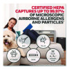 Pre-Cut Carbon Pre-Filter, Fits Models: Hpa300/Hpa304/Hpa3300/Hpa5300/Hpa8350, Box Of 4 Filters