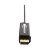 Usb Type-C To Displayport Adapter, 6 Ft, Black