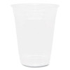 Pet Plastic Cups, 16 Oz, Clear, 1,000/Carton