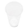 Pet Plastic Cups, 32 Oz, Clear, 300/Carton