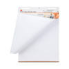 Professional Flip Chart, Unruled, (40) White 25 x 30 Sheets, 2/Carton