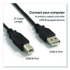 Usb Printer Cable, 6 Ft, Black