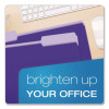 Interior File Folders, 1/3-Cut Tabs: Assorted, Legal Size, Violet, 100/Box