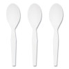 Mediumweight Plastic Cutlery, Spoon, Plastic, White, 1,000/Pack