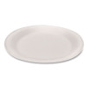 Foam Dinnerware, Plate, 9" Dia, White, 25/Pack, 20 Packs/Carton