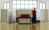 Workstation Privacy Screen, 36w X 48d, Translucent Clear/Silver