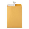 Redi-Strip Catalog Envelope, #10 1/2, Cheese Blade Flap, Redi-Strip Adhesive Closure, 9 x 12, Brown Kraft, 100/Box