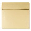 Filing Envelopes, Letter Size, Cameo Buff, 100/Box