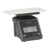 Electronic Postal Scale, 7 Lb Capacity, 5.5 x 5.2 Platform, Gray