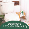 Toilet Bowl Cleaner, Fresh Mint Scent, 24 Oz Bottle, 4/Carton
