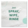 Foaming Dish Spray, Mandarin Orange Scent, 16 Oz Bottle, 6/Carton