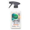 Foaming Dish Spray, Mandarin Orange Scent, 16 Oz Bottle, 6/Carton