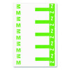 Alphaz Color-Coded First Letter Combo Alpha Labels, M/z, 1.16 X 3.63, Light Green/White, 5/Sheet, 20 Sheets/Pack