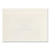 Self-Adhesive Poly Pockets, Top Load, 5.31 x 33.63, Clear, 100/Box